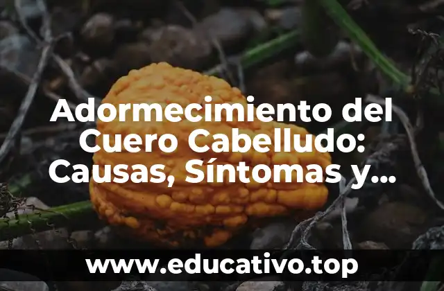 Adormecimiento del Cuero Cabelludo: Causas, Síntomas y Tratamientos