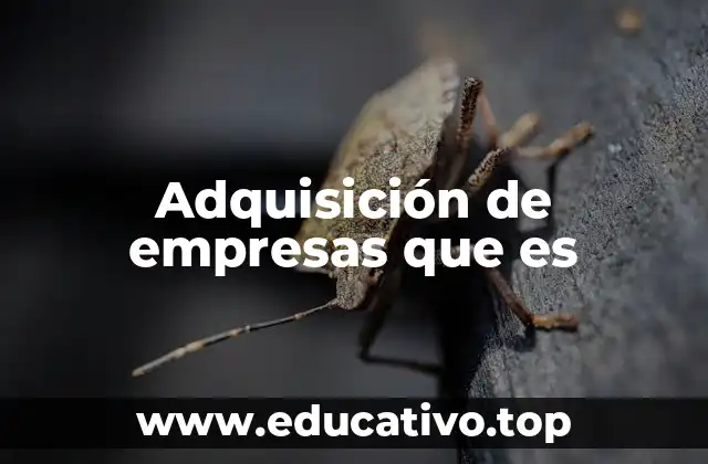 Adquisición de empresas que es