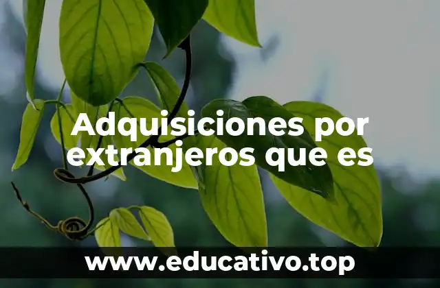 Adquisiciones por extranjeros que es