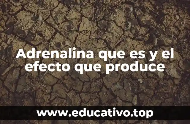 Adrenalina que es y el efecto que produce