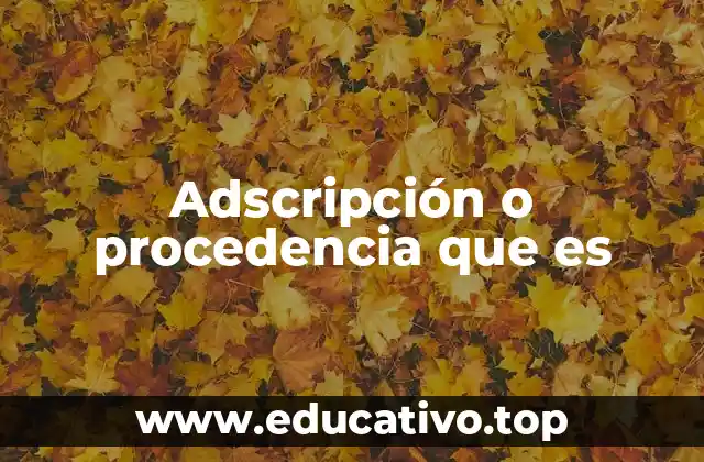 Adscripción o procedencia que es