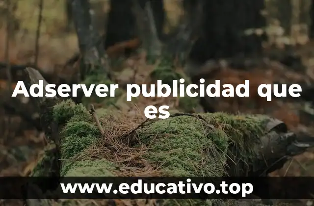 Adserver publicidad que es