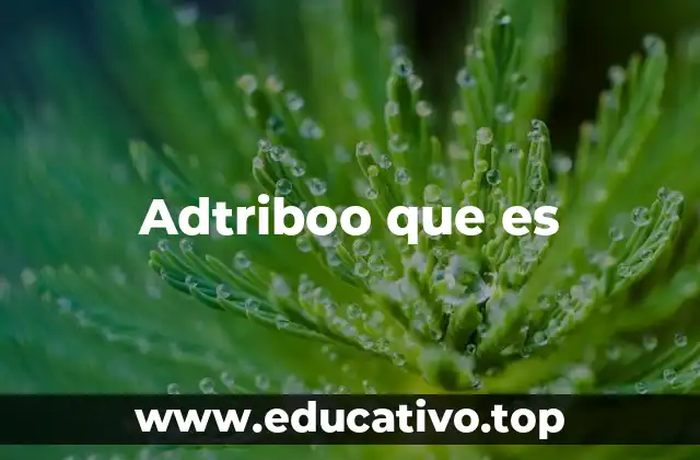 Adtriboo que es