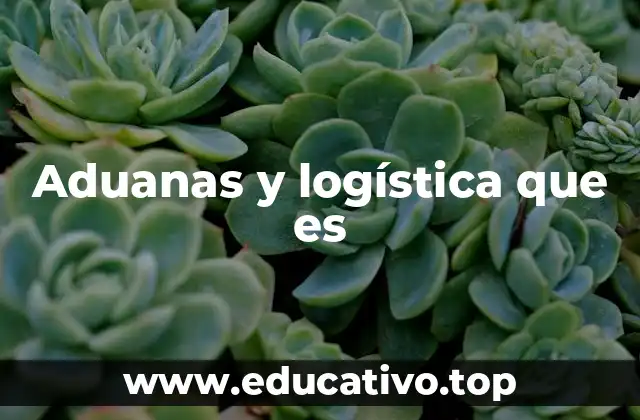 Aduanas y logística que es
