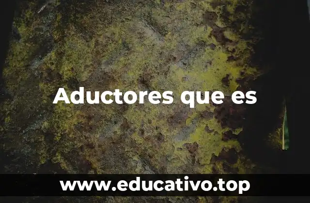 Aductores que es