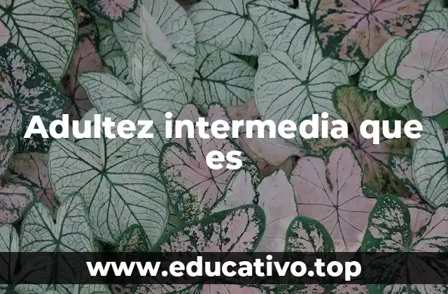 Adultez intermedia que es