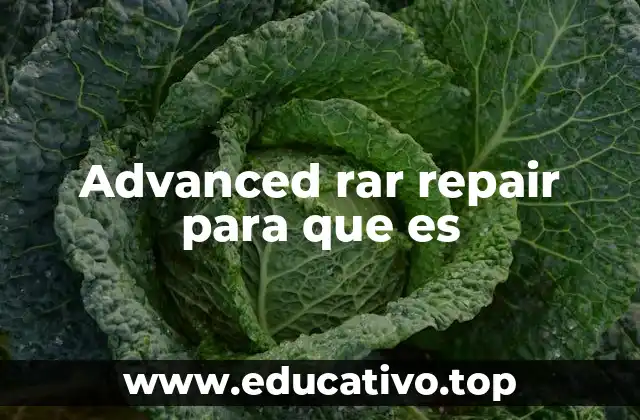 Advanced rar repair para que es