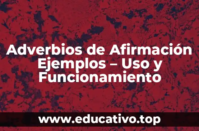 Adverbios de Afirmación Ejemplos – Uso y Funcionamiento