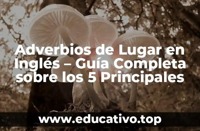 Adverbios de Lugar en Inglés – Guía Completa sobre los 5 Principales