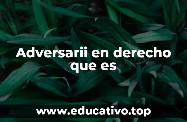 Adversarii en derecho que es