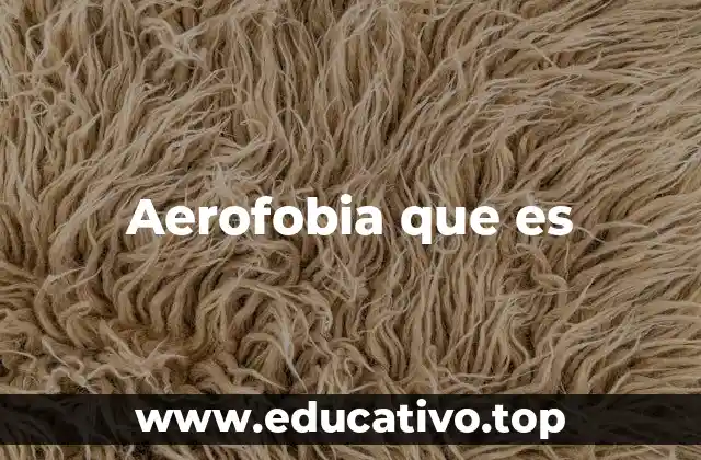 Aerofobia que es