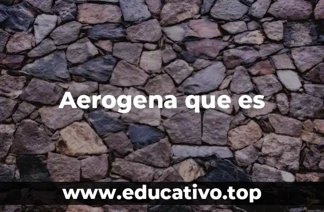 Aerogena que es