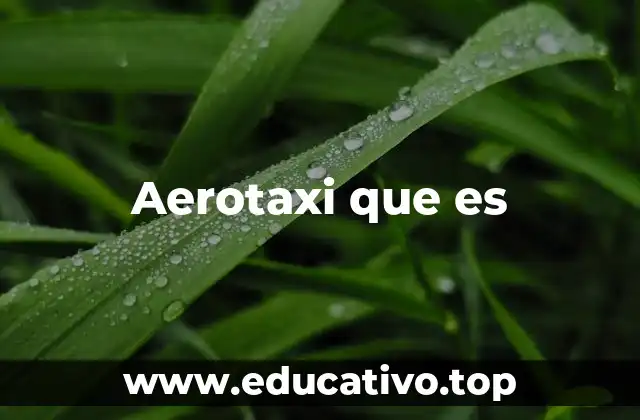 Aerotaxi que es