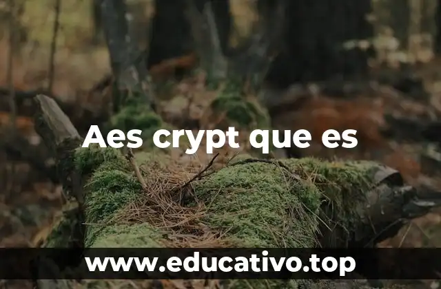 Aes crypt que es