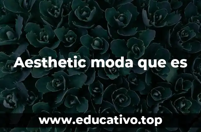 Aesthetic moda que es