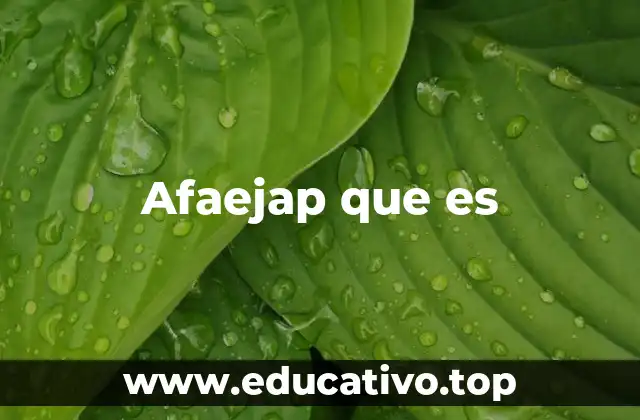 Afaejap que es