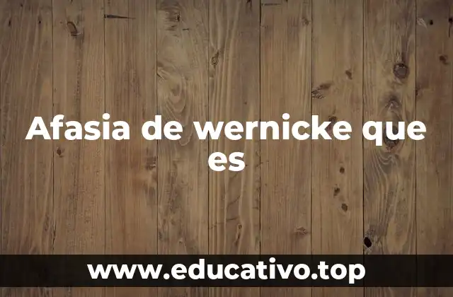 Afasia de wernicke que es