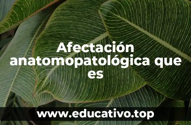 Afectación anatomopatológica que es
