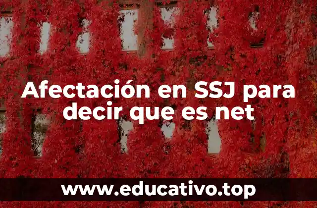 Afectación en SSJ para decir que es net