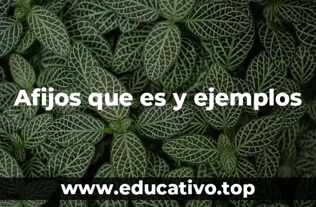 Afijos que es y ejemplos