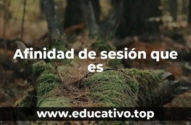 Afinidad de sesión que es