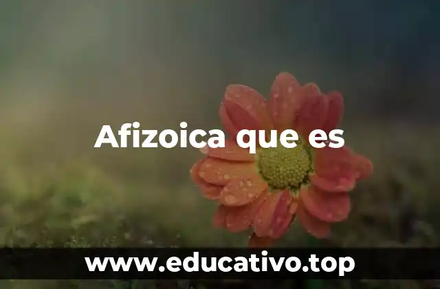 Afizoica que es