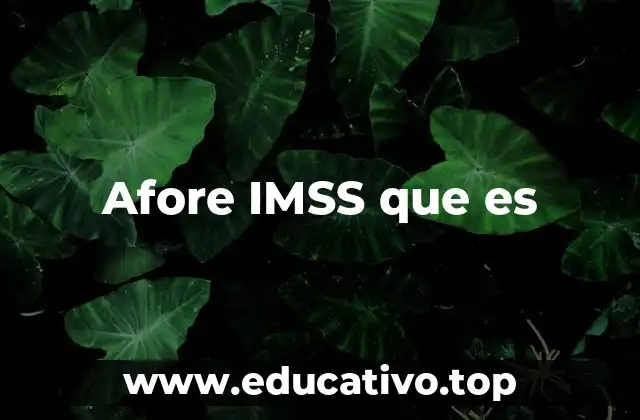 Cómo funciona el Sistema de Afores IMSS