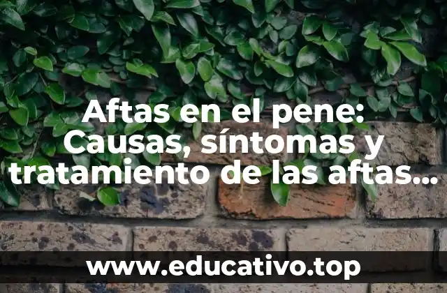 Aftas en el pene: Causas, síntomas y tratamiento de las aftas genitales