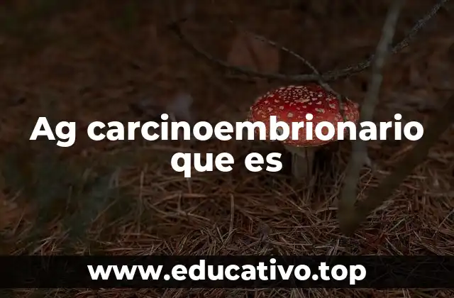 Ag carcinoembrionario que es