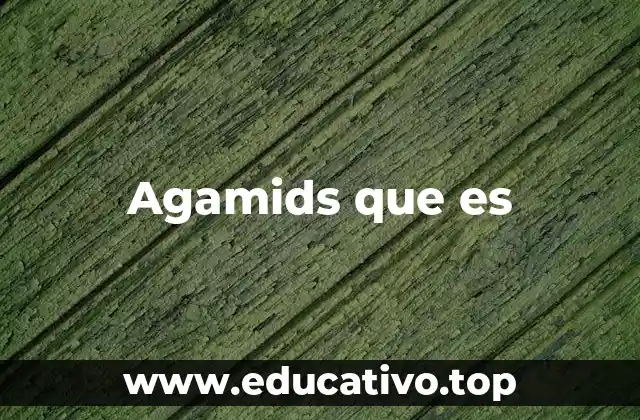 Agamids que es