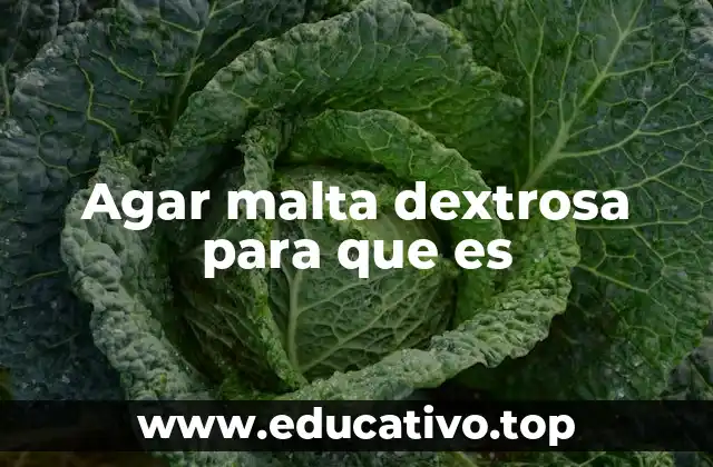 Componentes del agar malta dextrosa y su importancia