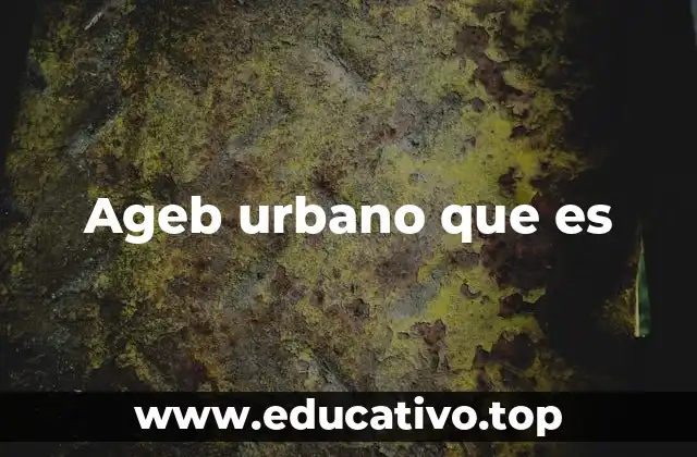Ageb urbano que es