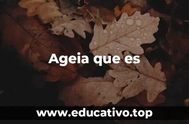 Ageia que es