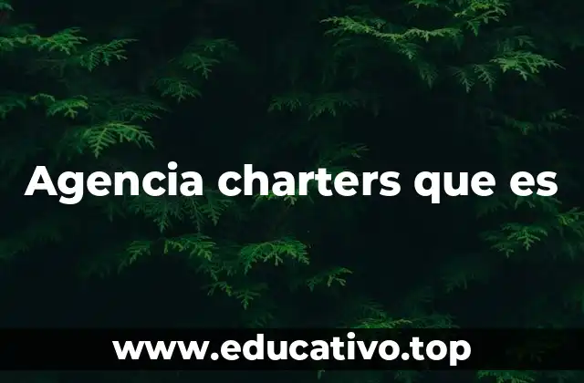 Agencia charters que es