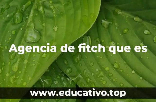 Agencia de fitch que es