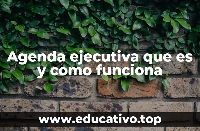 Agenda ejecutiva que es y como funciona