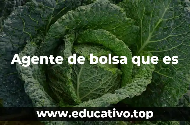 Agente de bolsa que es