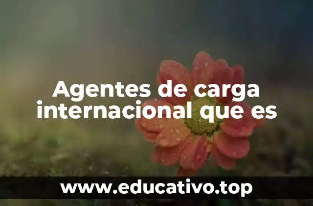 Agentes de carga internacional que es