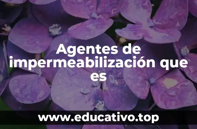 Agentes de impermeabilización que es