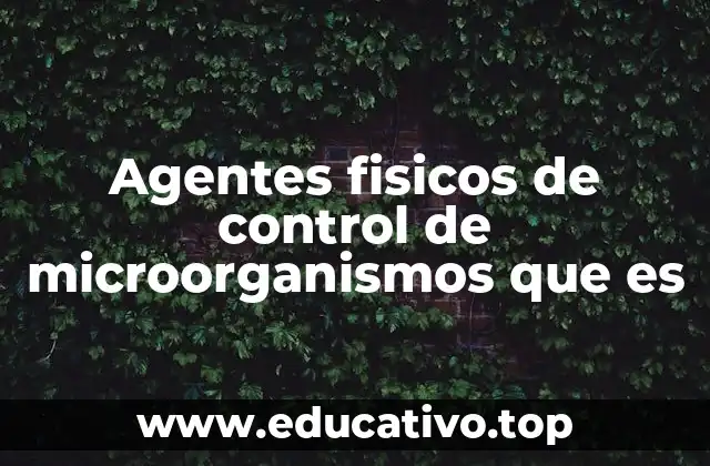 Agentes fisicos de control de microorganismos que es