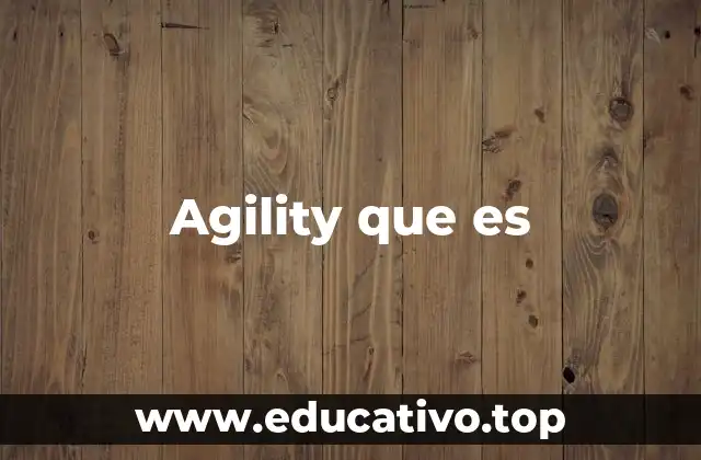 Agility que es