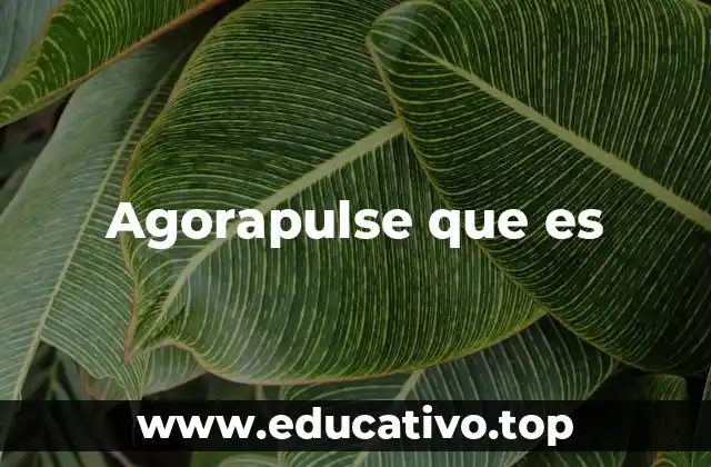 Agorapulse que es
