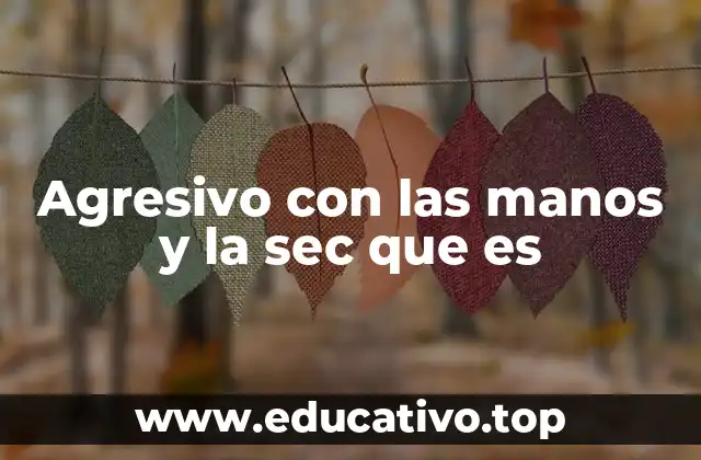 Agresivo con las manos y la sec que es