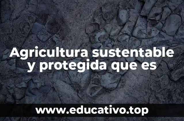 Agricultura sustentable y protegida que es