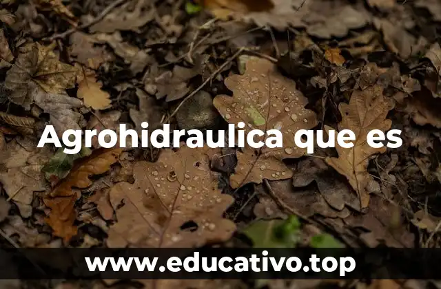 La importancia del agua en la producción agrícola