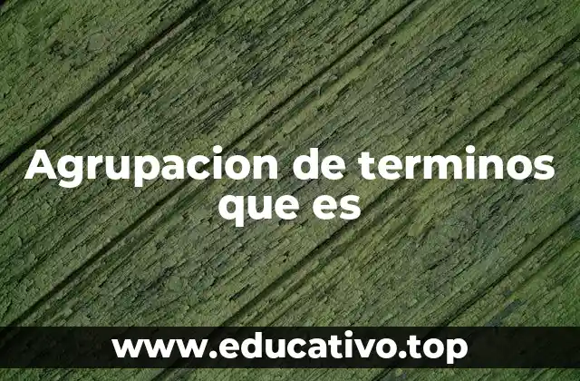 Agrupacion de terminos que es
