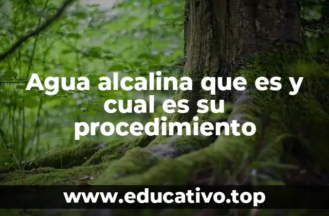 Agua alcalina que es y cual es su procedimiento