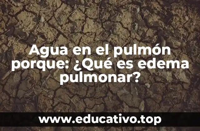 Agua en el pulmón porque: ¿Qué es edema pulmonar?