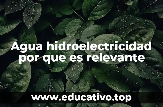 Agua hidroelectricidad por que es relevante
