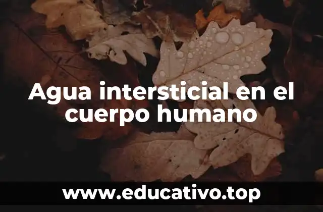 Agua intersticial en el cuerpo humano